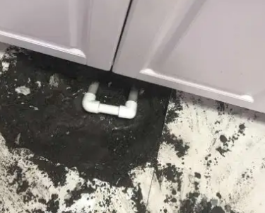 桂东查漏水哪家好
